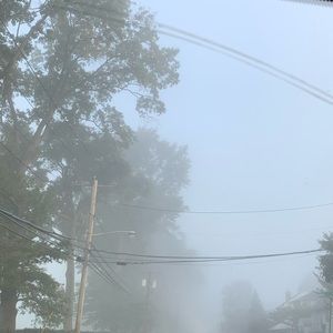 Meet your Posher, Melvin